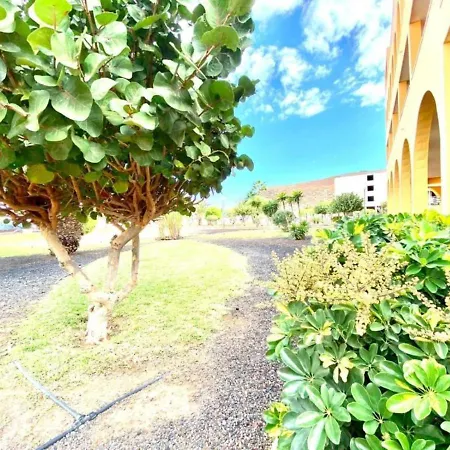 Apartamento Cerca De Playa, Tenerife Sur طوستا ديل سيلونثيو